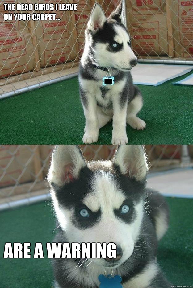 the dead birds i leave on your carpet are a warning - Insanity puppy