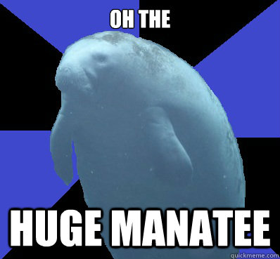 Fat Manatee