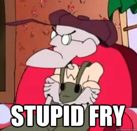 stupid fry