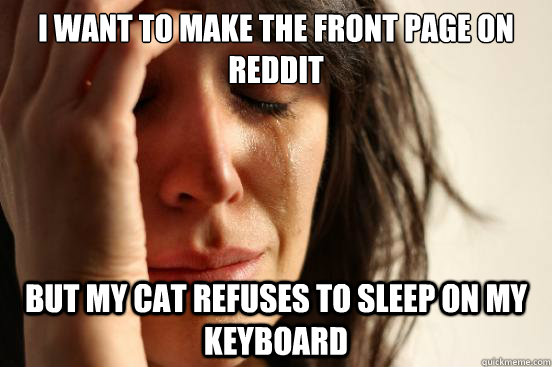 i want to make the front page on reddit but my cat refuses t - First World Problems
