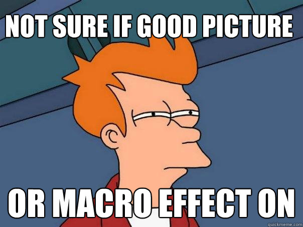 not sure if good picture or macro effect on - Futurama Fry
