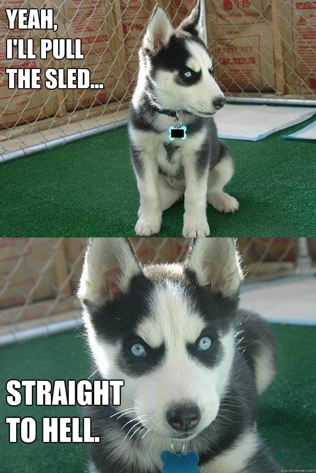 yeah ill pull the sled straight to hell - Insanity puppy