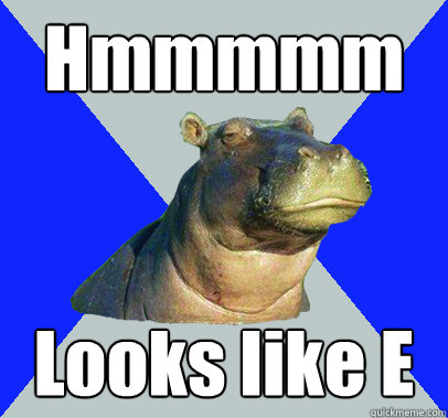 hmmmmm looks like e - Skeptical Hippo