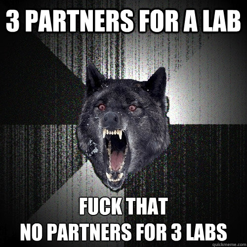 3 partners for a lab fuck that no partners for 3 labs - Insanity Wolf