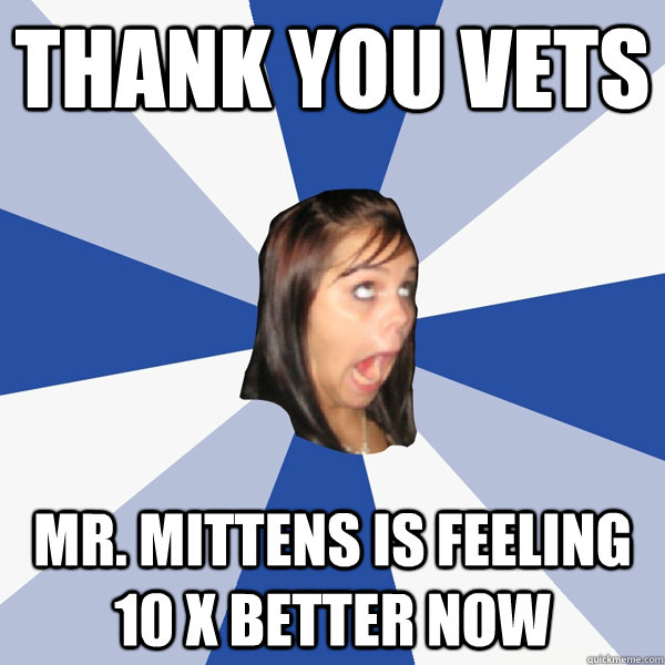thank you vets mr mittens is feeling 10 x better now - Annoying Facebook Girl