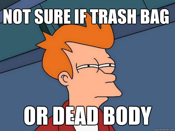not sure if trash bag or dead body - Futurama Fry