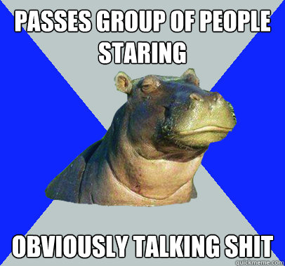 passes group of people staring obviously talking shit - Skeptical Hippo