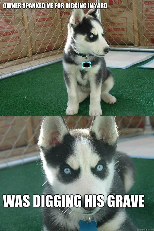 owner spanked me for digging in yard was digging his grave - Insanity puppy
