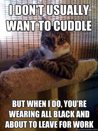 i dont usually want to cuddle but when i do youre wearing - The Most Interesting Cat in the World