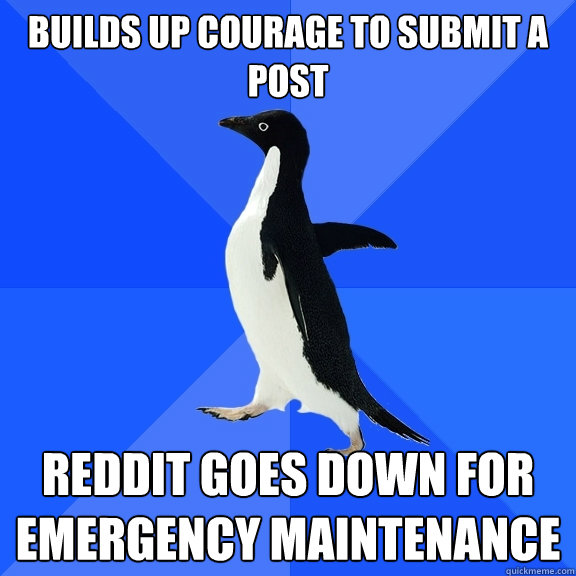 builds up courage to submit a post reddit goes down for emer - Socially Awkward Penguin