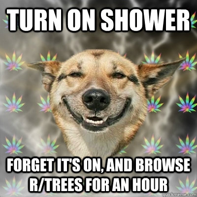 turn on shower forget its on and browse rtrees for an hou - Stoner Dog