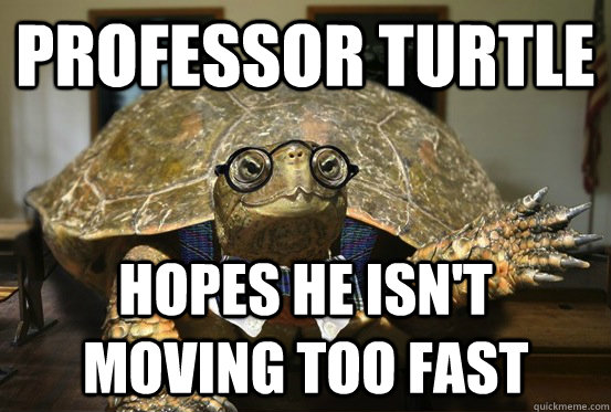 professor turtle hopes he isnt moving too fast - Professor Turtle
