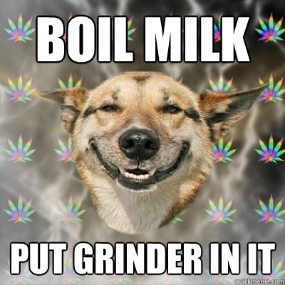 Boil On Dog