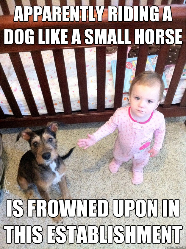 apparently riding a dog like a small horse is frowned upon -