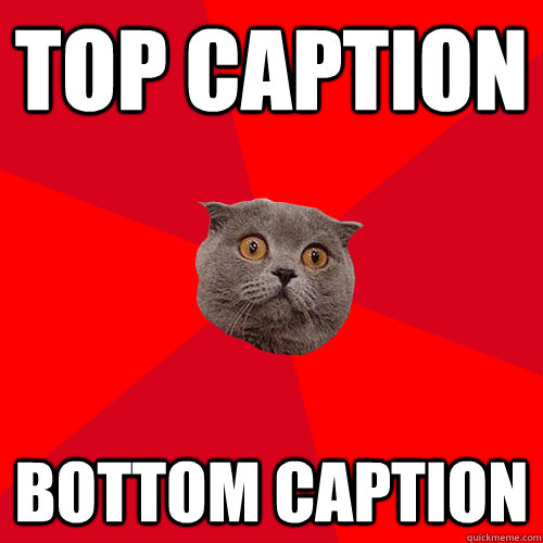 top caption bottom caption - Chronic Anxiety Cat