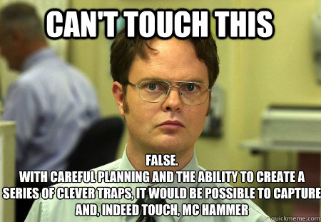 cant touch this false with careful planning and the abilit - Schrute
