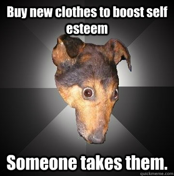 buy new clothes to boost self esteem someone takes them - Depression Dog