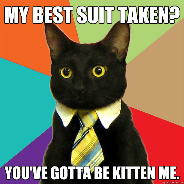 my best suit taken youve gotta be kitten me - Business Cat