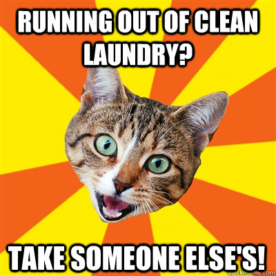 running out of clean laundry take someone elses - Bad Advice Cat
