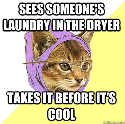 sees someones laundry in the dryer takes it before its coo - Hipster Kitty