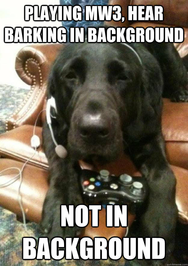 playing mw3 hear barking in background not in background - Dog playing MW3