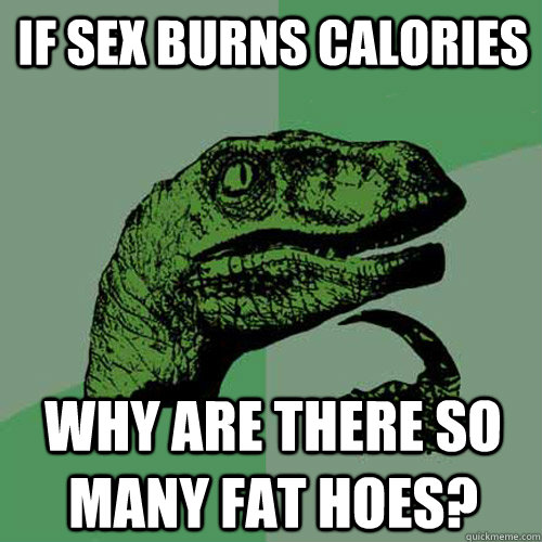 If Sex Burns Calories Why Are There So Many Fat Hoes Philosoraptor Quickmeme