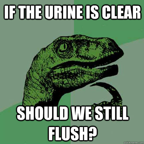 if the urine is clear should we still flush - Philosoraptor