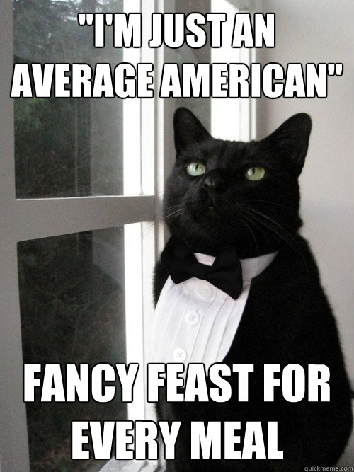 im just an average american fancy feast for every meal - 1% Cat