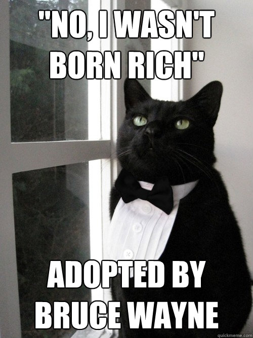no i wasnt born rich adopted by bruce wayne - One Percent Cat