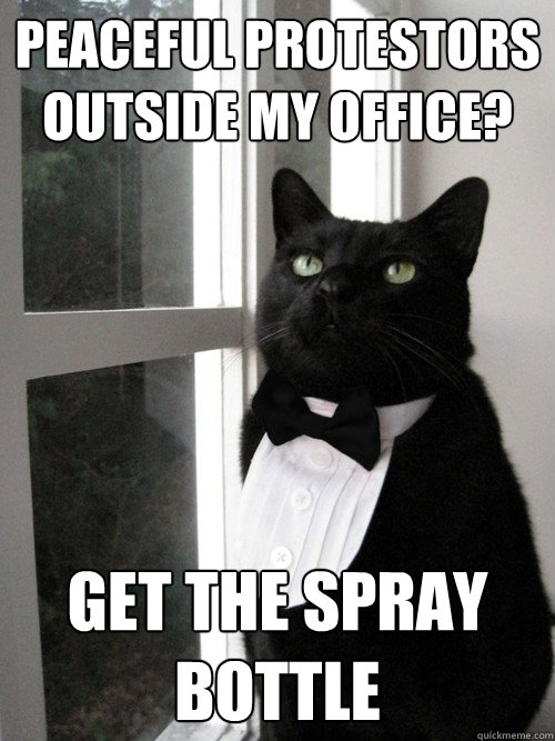 peaceful protestors outside my office get the spray bottle - One Percent Cat
