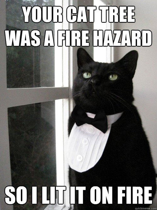 your cat tree was a fire hazard so i lit it on fire - One Percent Cat