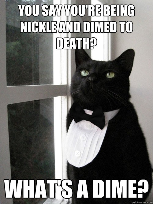you say youre being nickle and dimed to death whats a dim - One Percent Cat