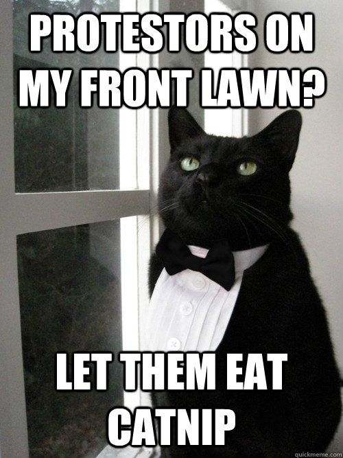 protestors on my front lawn let them eat catnip - One Percent Cat