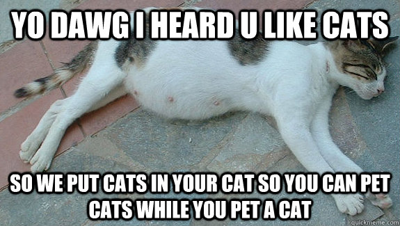 yo dawg i heard u like cats so we put cats in your cat so yo - 