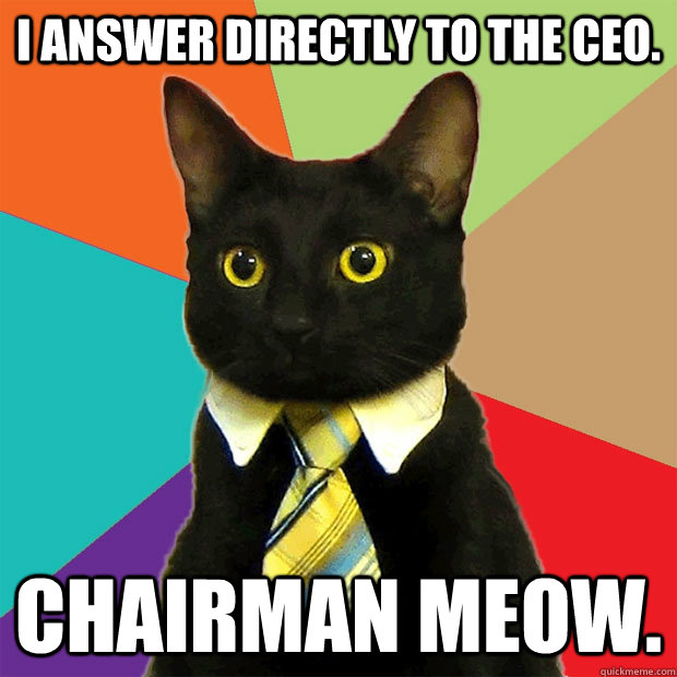 i answer directly to the ceo chairman meow - Business Cat