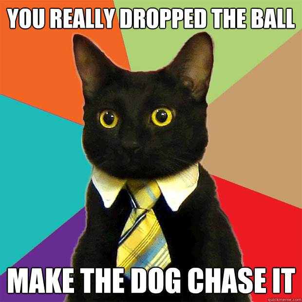 you really dropped the ball make the dog chase it - Business Cat