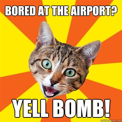 bored at the airport yell bomb - Bad Advice Cat