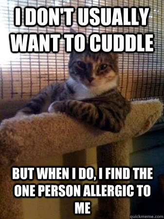 i dont usually want to cuddle but when i do i find the one - The Most Interesting Cat in the World