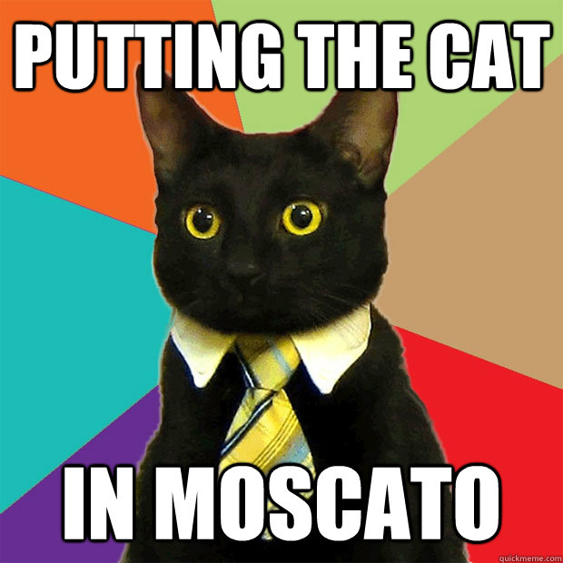 putting the cat in moscato - Business Cat