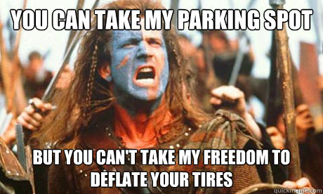 you can take my parking spot but you cant take my freedom t - Freedom Fighter
