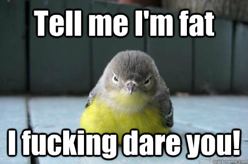 Obese Bird