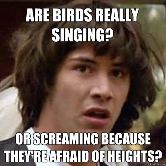 are birds really singing or screaming because theyre afrai - conspiracy keanu