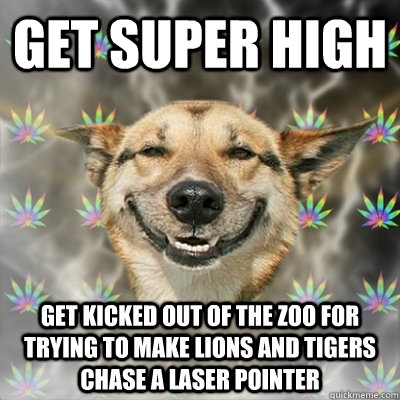 get super high get kicked out of the zoo for trying to make - Stoner Dog