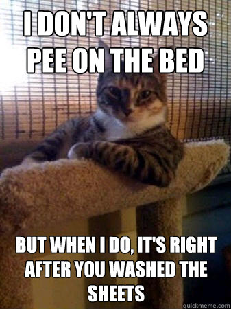 i dont always pee on the bed but when i do its right afte - The Most Interesting Cat in the World