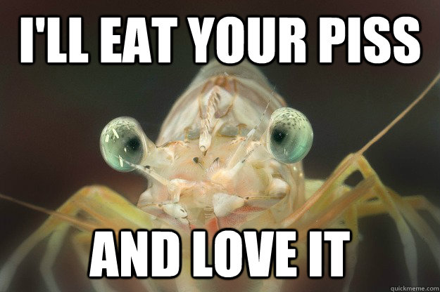 ill eat your piss and love it -