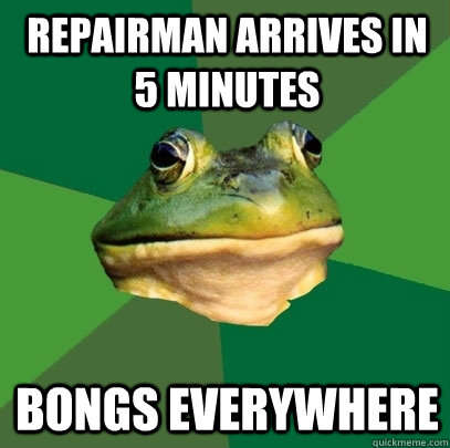 repairman arrives in 5 minutes bongs everywhere - Foul Bachelor Frog