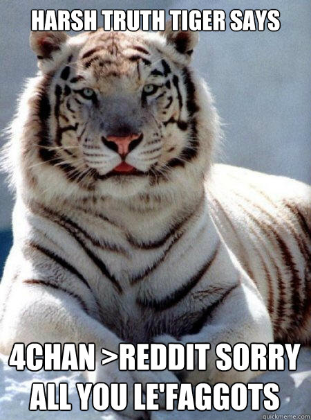harsh truth tiger says 4chan reddit sorry all you lefaggot - Harsh Truth Tiger