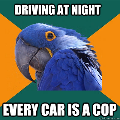 driving at night every car is a cop - Paranoid Parrot