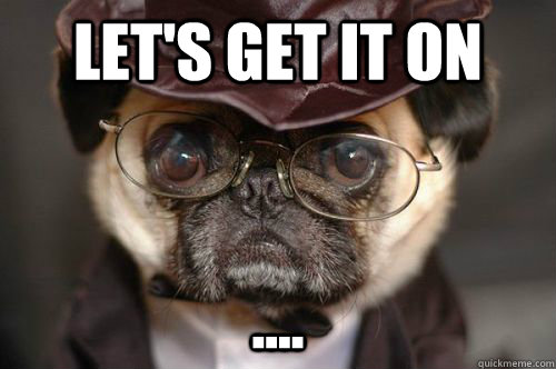 lets get it on - Smug Pug