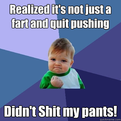 realized its not just a fart and quit pushing didnt shit m - Success Kid